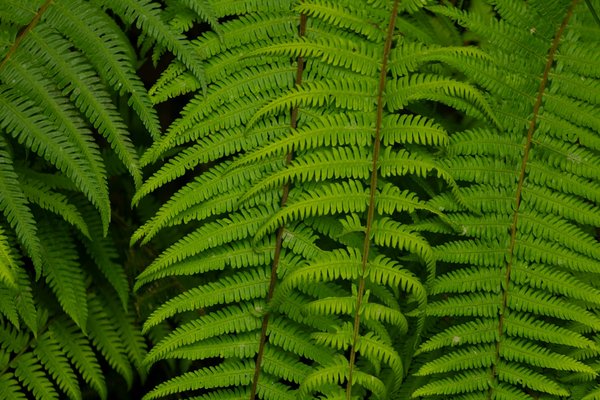 Astuces incontournables pour améliorer votre quotidien numérique